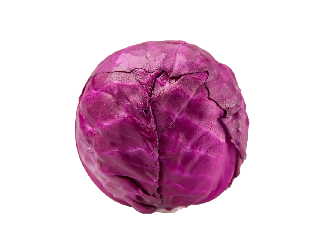 نیمکت چرمی هوشمند