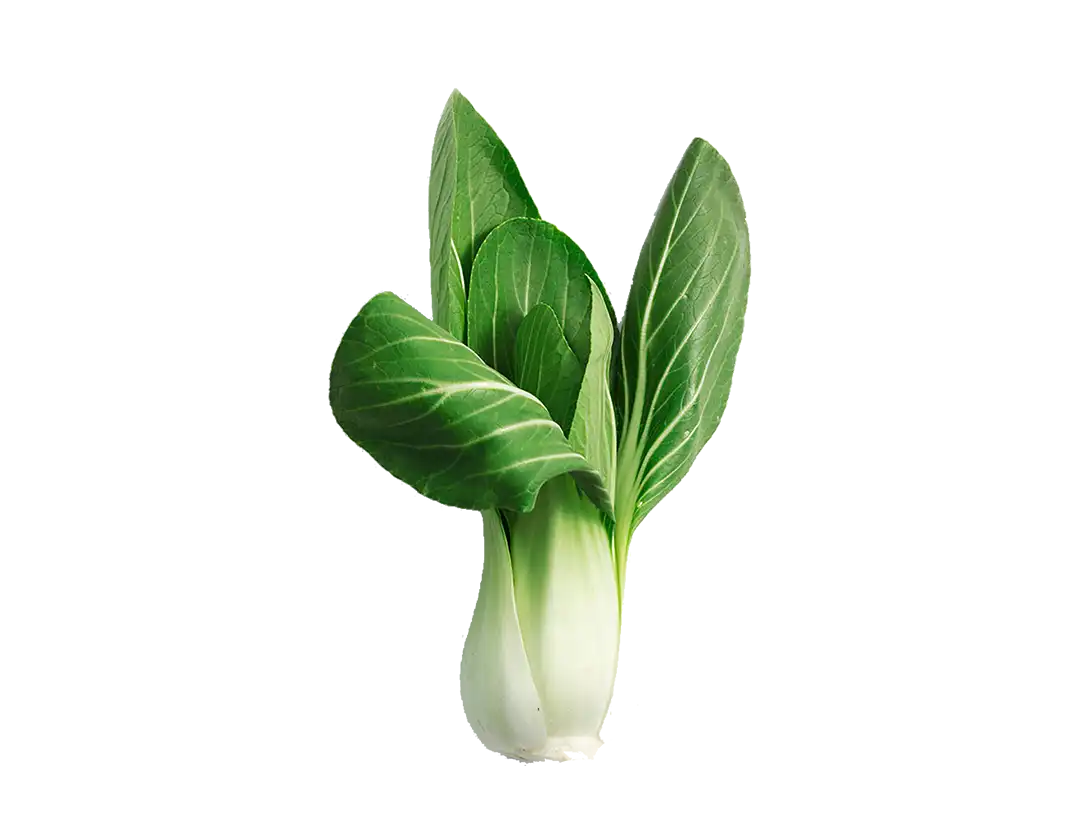 کفش چرمی کاربردی - Image 3