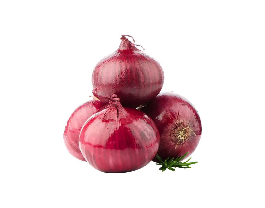 نیمکت کاغذی روستایی