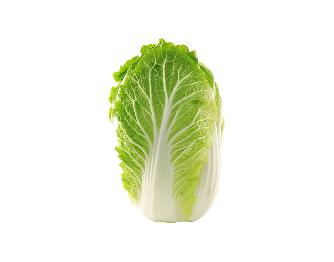 بشقاب چرمی فوق العاده