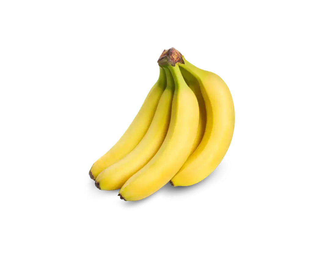 کلاه استیل سینرژیستیک