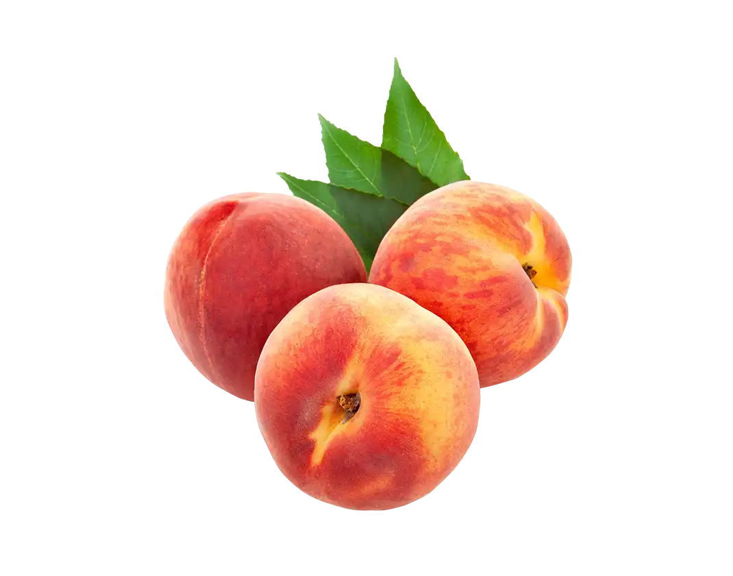 کت مرمری زیبا