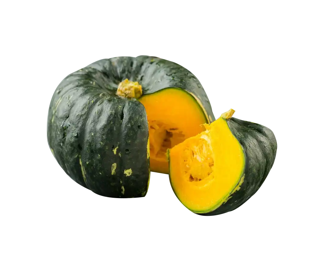 نیمکت پلاستیکی باورنکردنی - Image 4