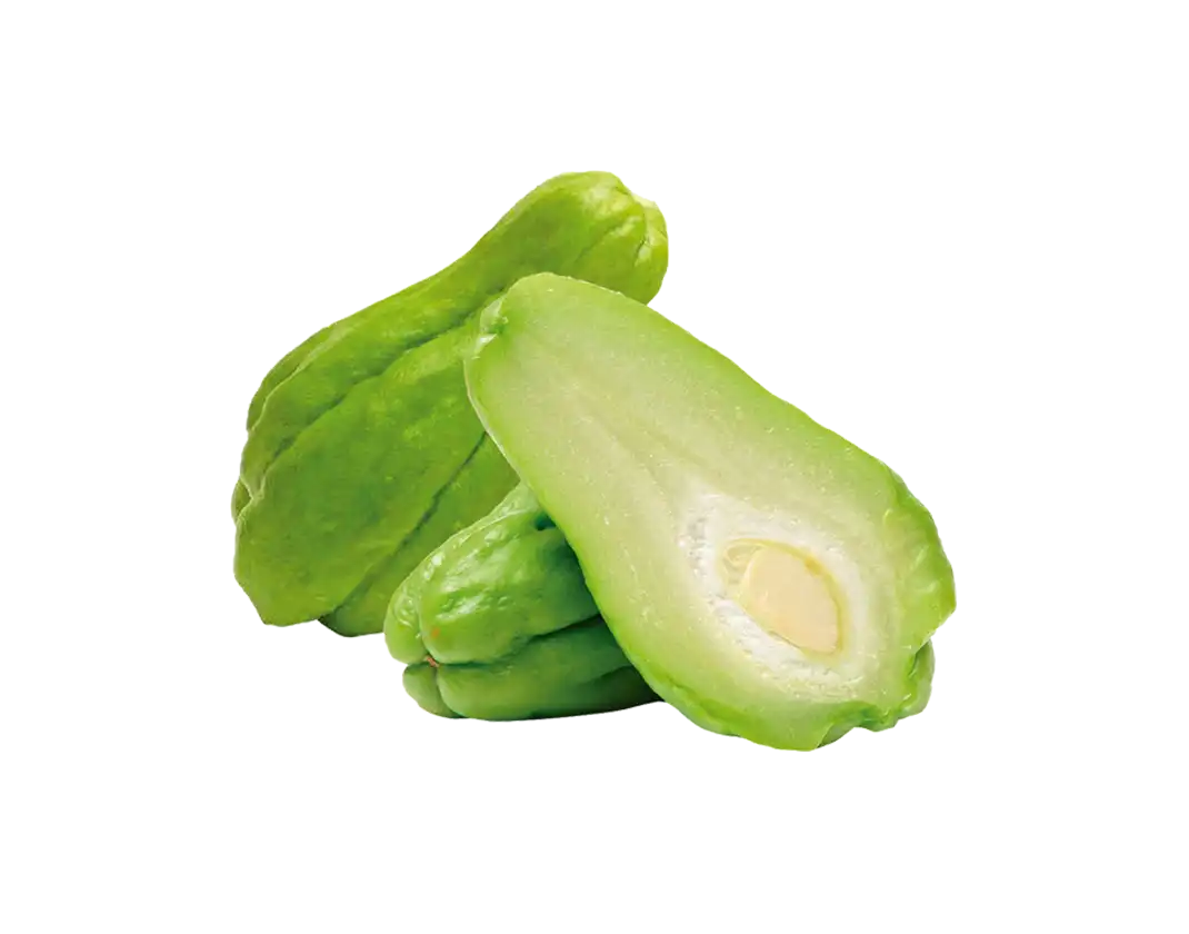 چاقوی پنبه ای سینرژیستیک