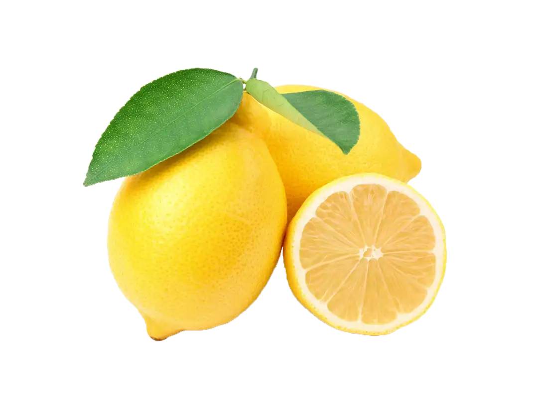 نیمکت پلاستیکی باورنکردنی - Image 2