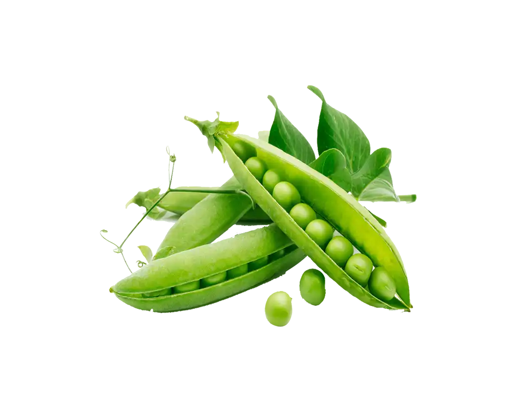 شلوار کتان ارگونومیک