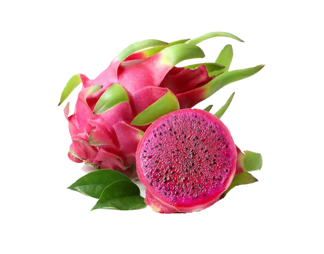 نیمکت پلاستیکی باورنکردنی