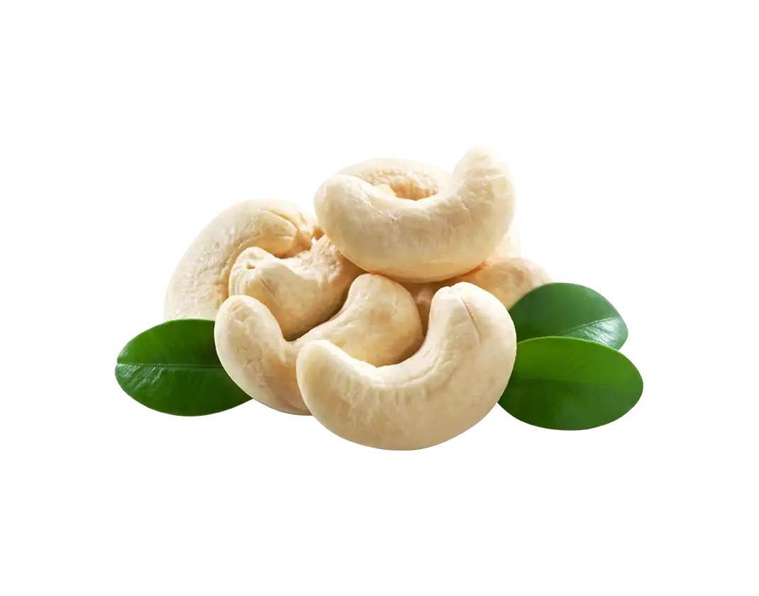 کامپیوتر ابریشم عظیم - Image 3