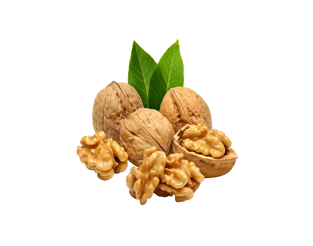 کت مرمری زیبا - Image 3